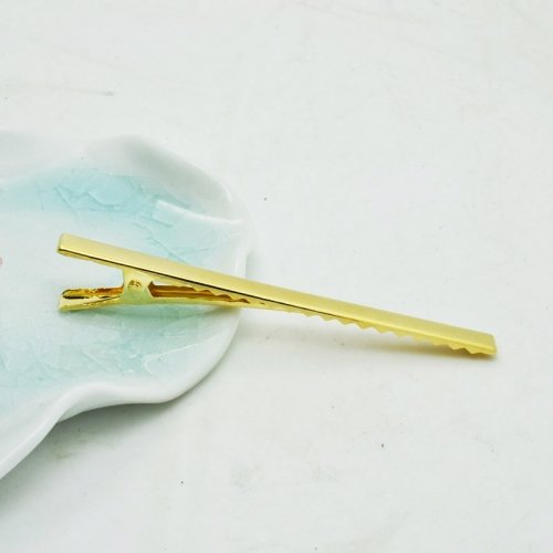 Hair clips aluminium/plastic - Guldiga